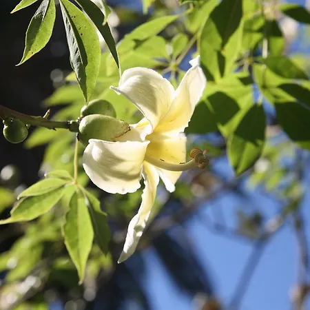Emblematico Casa Casilda מלון