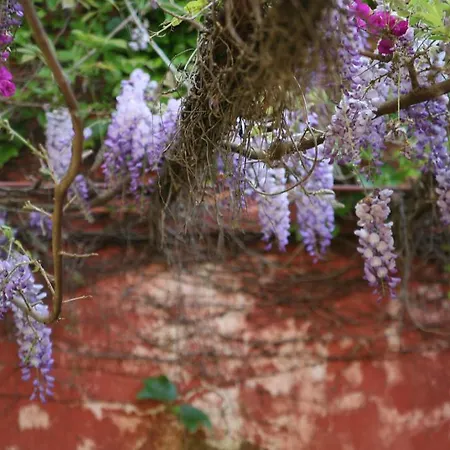 酒店 Emblematico Casa Casilda 塔科龙特