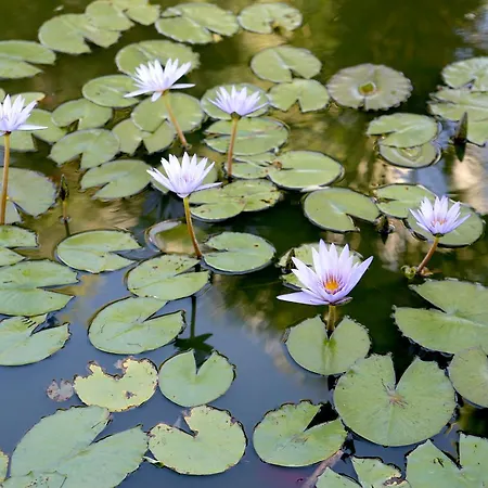 酒店 Emblematico Casa Casilda