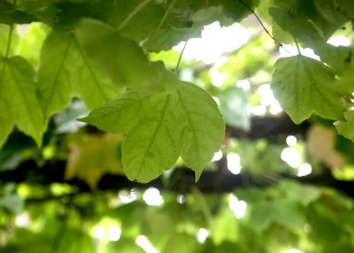 Emblematico Casa Casilda Hotel 3*