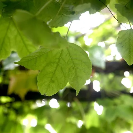 Emblematico Casa Casilda Ξενοδοχείο 3*