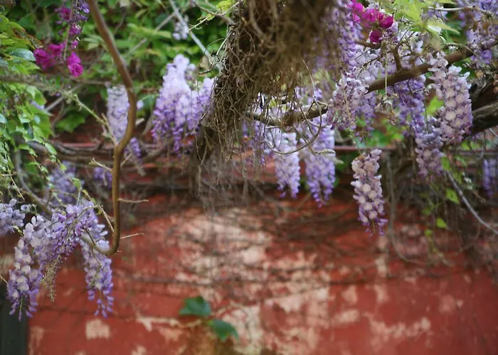 Hotel Emblemático Casa Casilda Tacoronte