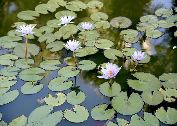 Hotel Emblemático Casa Casilda