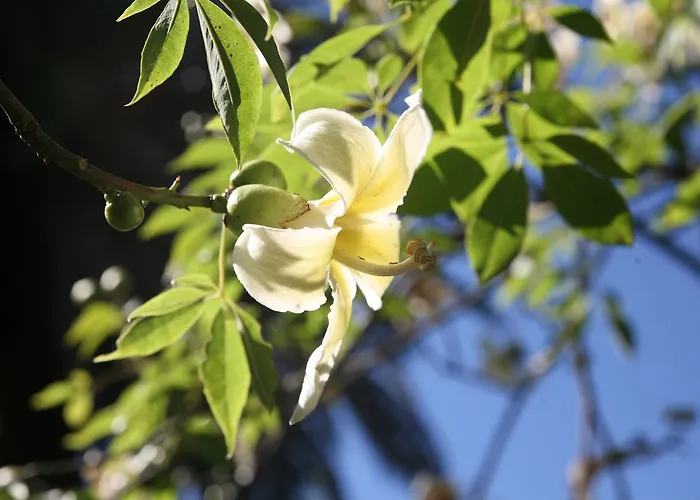 Emblematico Casa Casilda Ξενοδοχείο